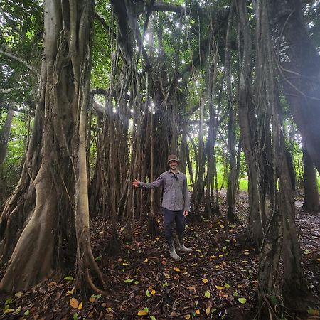 Hospedaje Y Tours Reina Arriera Amazonas Colombia Macedonia Dış mekan fotoğraf