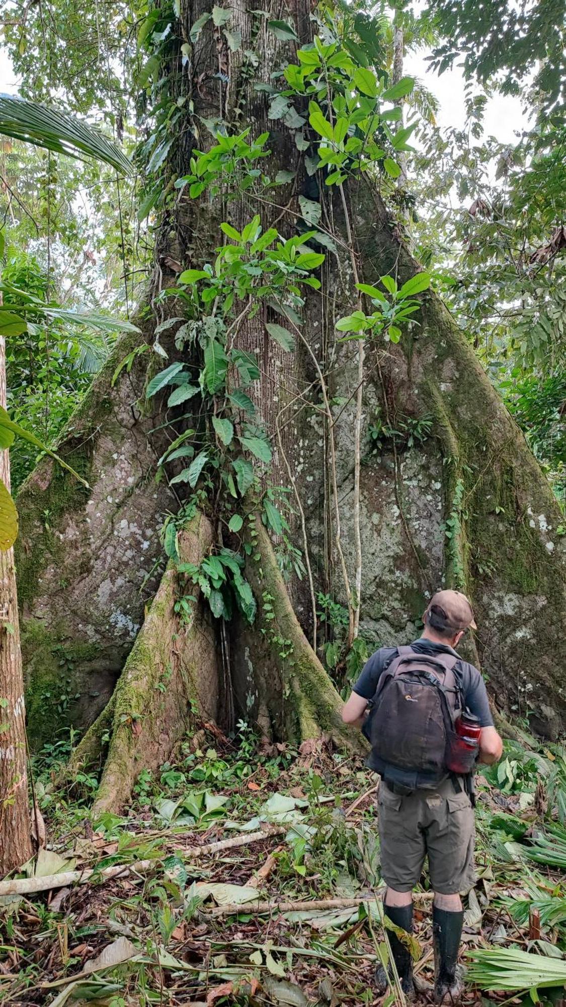 Hospedaje Y Tours Reina Arriera Amazonas Colombia Macedonia Dış mekan fotoğraf
