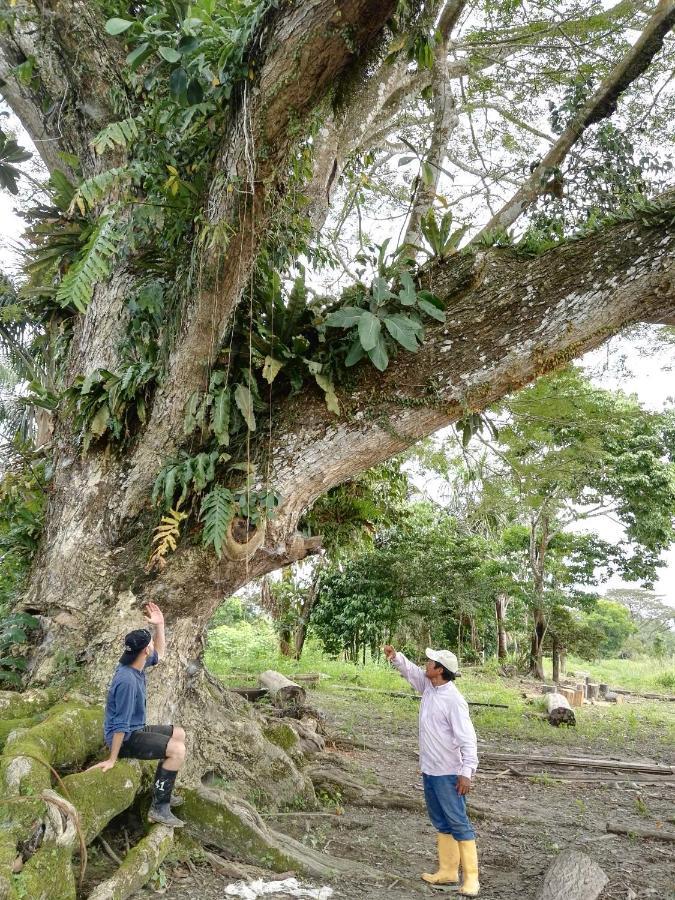 Hospedaje Y Tours Reina Arriera Amazonas Colombia Macedonia Dış mekan fotoğraf